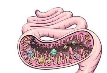 Worms in the stomach