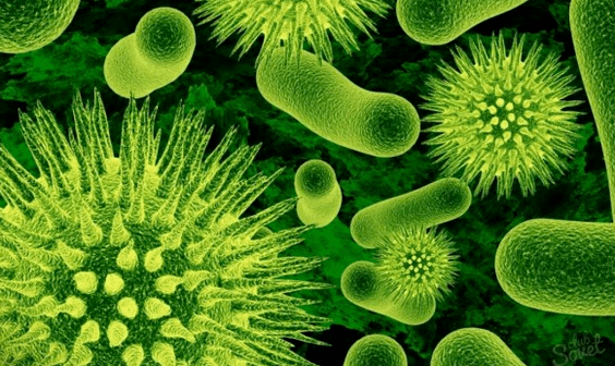 Virus caused by parasites