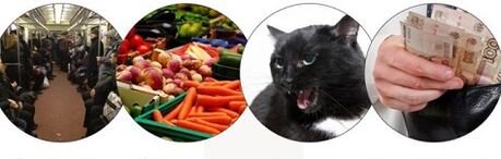 The way of infection with parasites