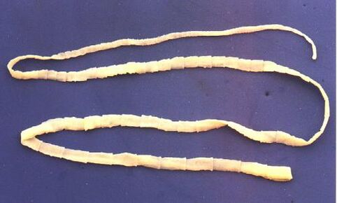 Pork worms